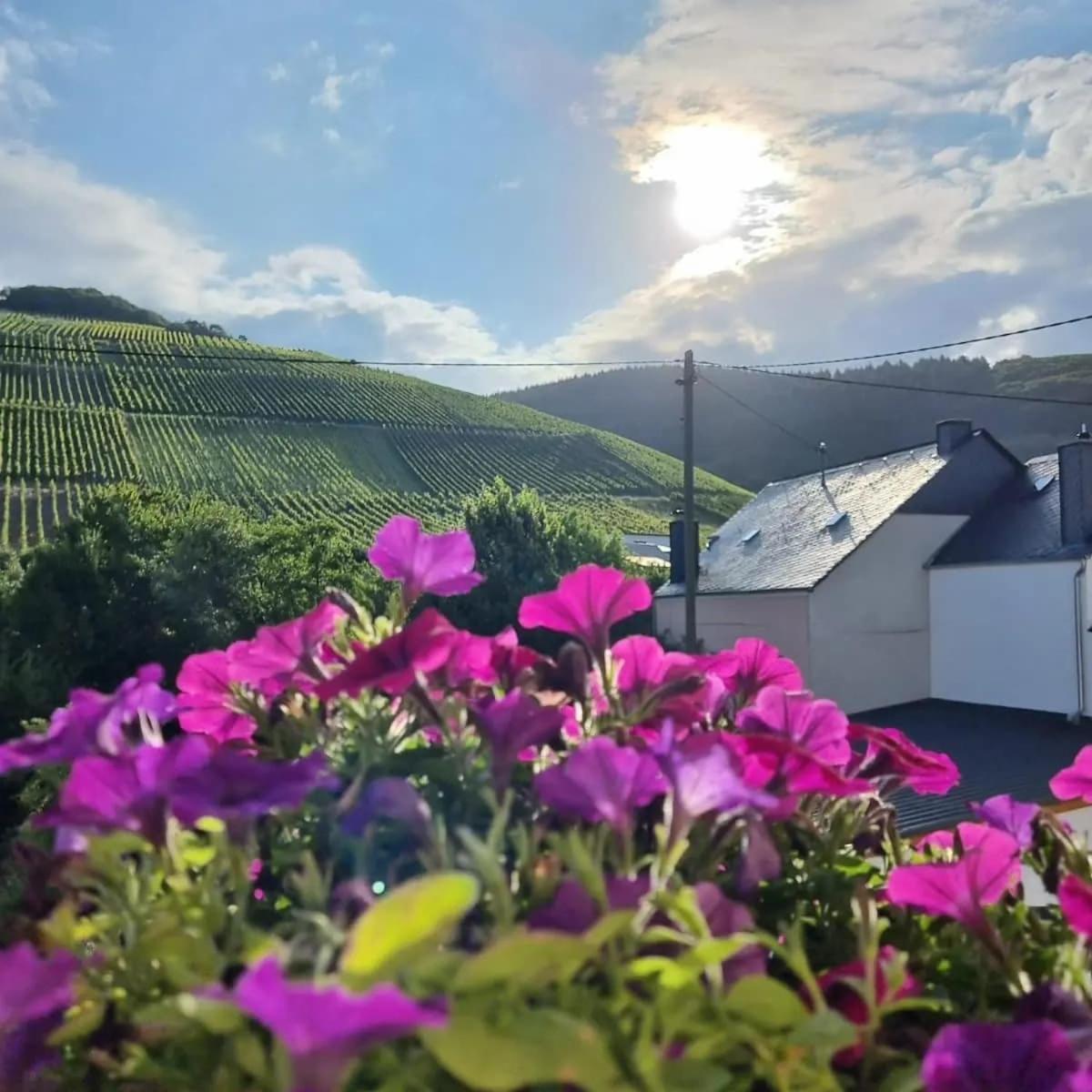 Gasthof Zur Grafschaft Veldenz מראה חיצוני תמונה