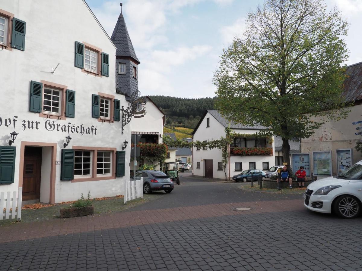 Gasthof Zur Grafschaft Veldenz מראה חיצוני תמונה